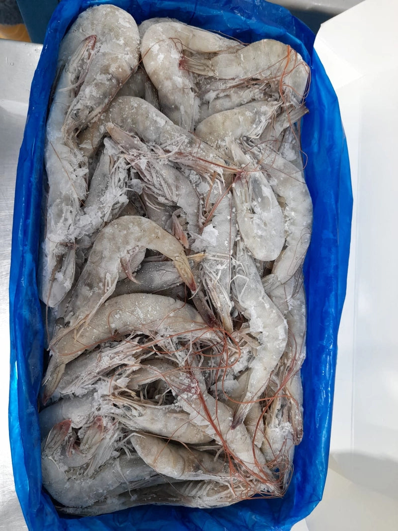 Shrimp 5lbs Bag 21/25 Headless