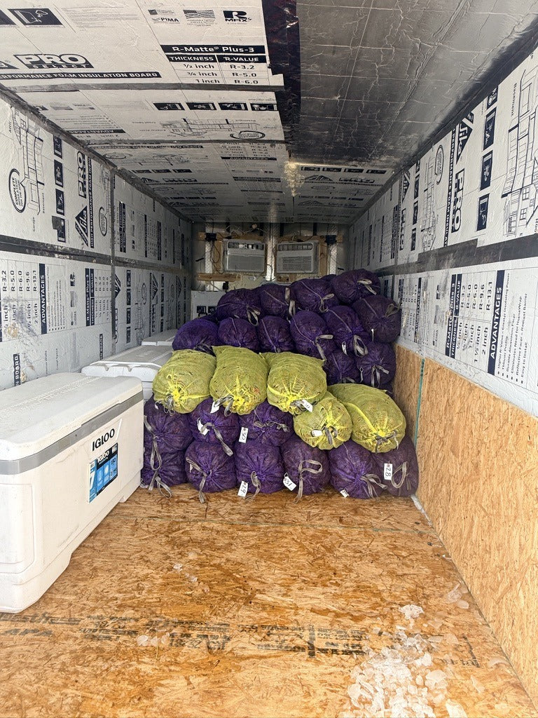 Select and regular crawfish sacks loaded in the air-conditioned RM Routes trailer
