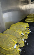 Select-grade live crawfish sacks in the RM Routes trailer