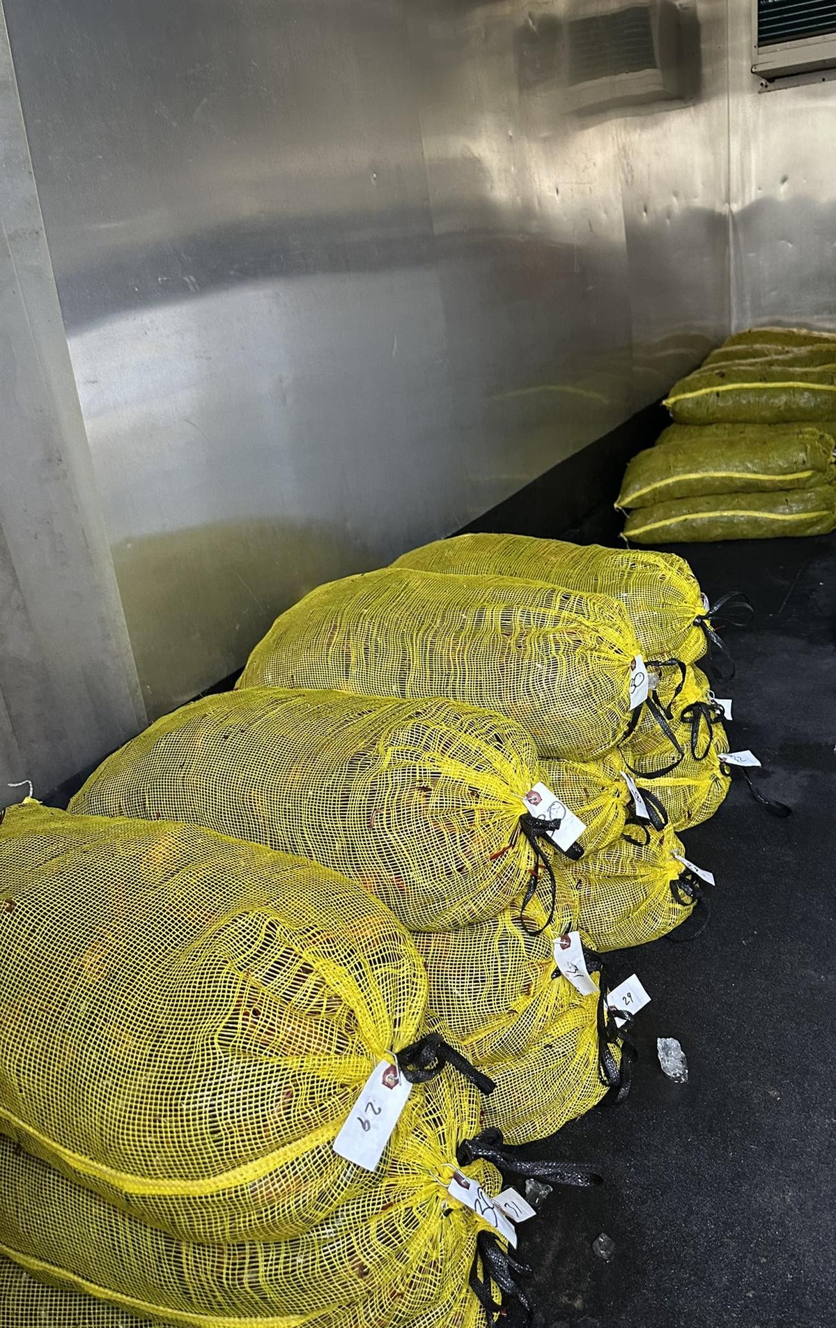 Select-grade live crawfish sacks in the RM Routes trailer